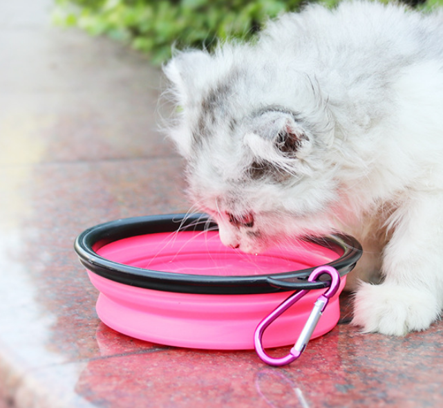 ciotola silicone per cani