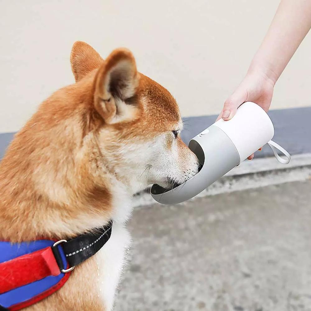 bottiglia acqua per animali