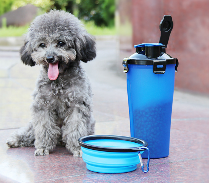 ciotola silicone per cani